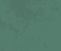 Acid Stain For Concrete - Clemons 4
