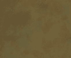 Acid Stain For Concrete - Clemons 3