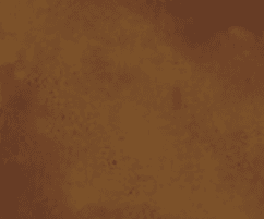 Acid Stain For Concrete - Clemons 5